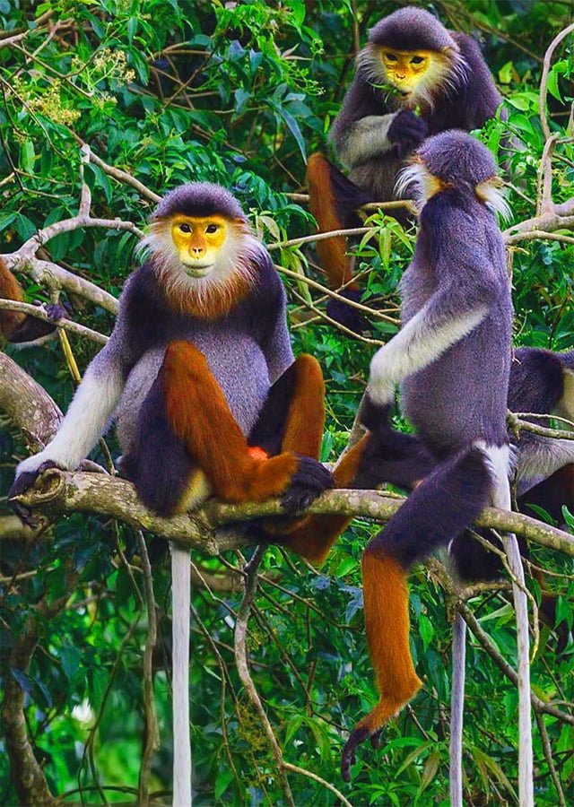 Cuc Phuong National Park day trip from Hanoi