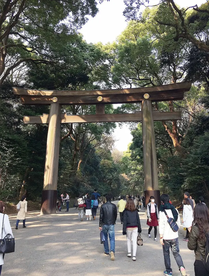 Meiji Shrine torii gate, a Tokyo travel guide for first time visitors highlight